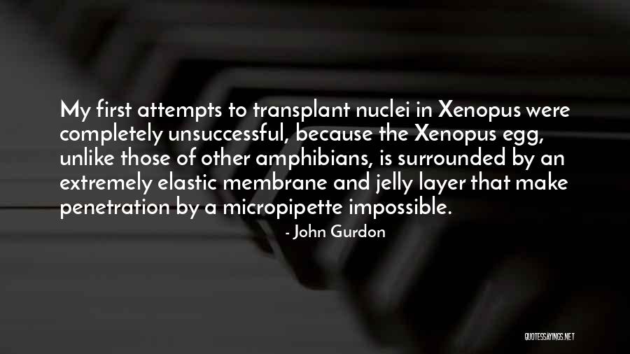 Fantasmas In English Quotes By John Gurdon Fantasmas In English Quotes By John Gurdon