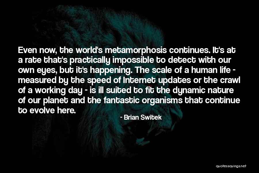 Fantastic Day Quotes By Brian Switek Fantastic Day Quotes By Brian Switek