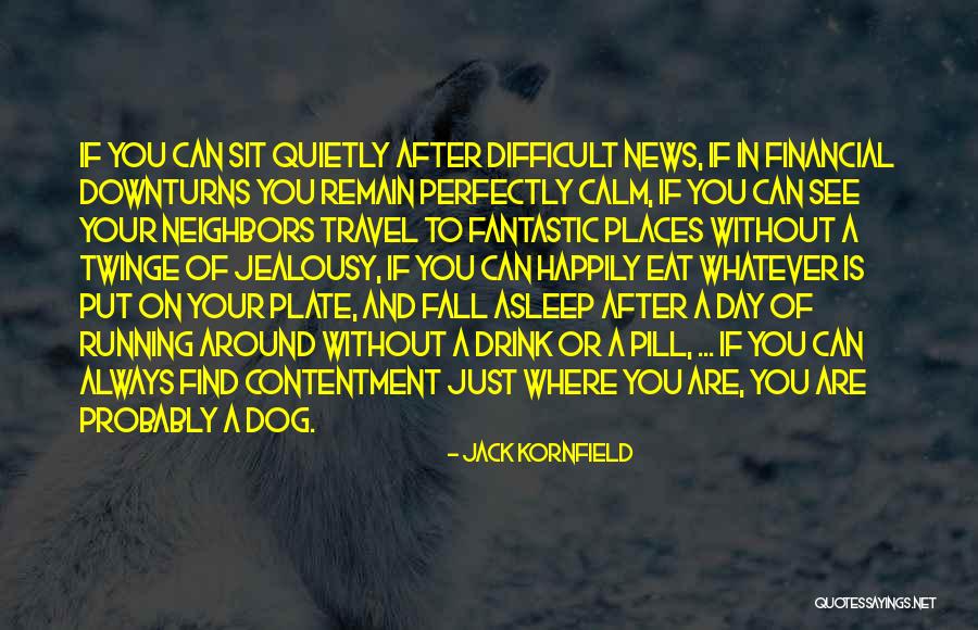 Fantastic Day Quotes By Jack Kornfield Fantastic Day Quotes By Jack Kornfield
