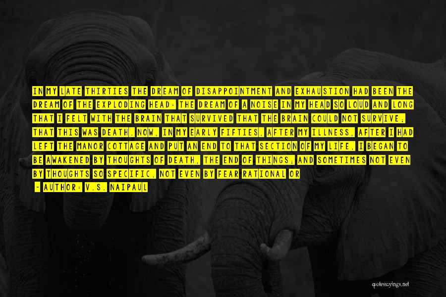 Fantastic Life Quotes By V.S. Naipaul