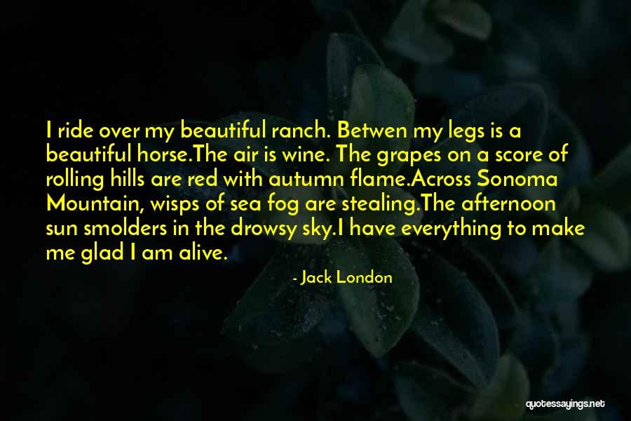 Fantastical Dragon Quotes By Jack London Fantastical Dragon Quotes By Jack London