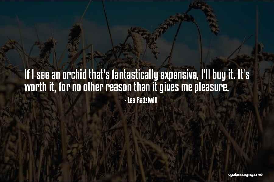 Fantastically Quotes By Lee Radziwill Fantastically Quotes By Lee Radziwill