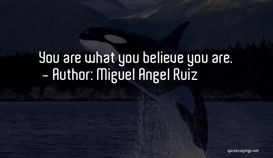 Fantasy World Problems Quotes By Miguel Angel Ruiz