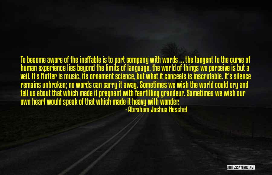 Far Cry Experience Quotes By Abraham Joshua Heschel