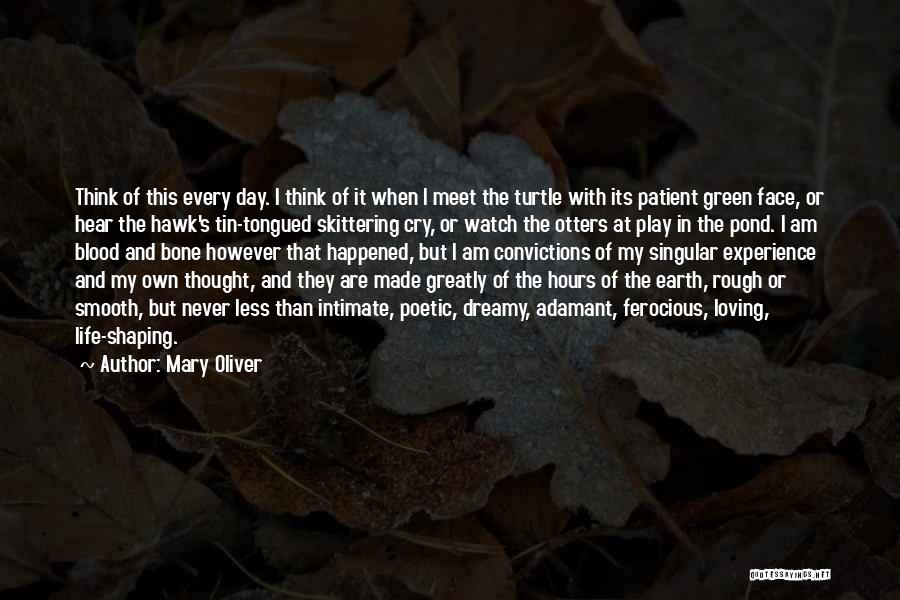 Far Cry Experience Quotes By Mary Oliver
