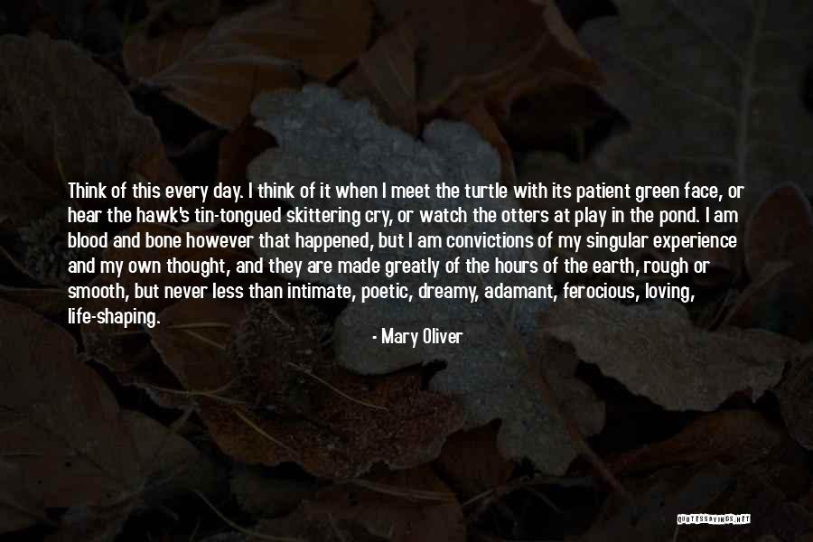 Far Cry Experience Quotes By Mary Oliver