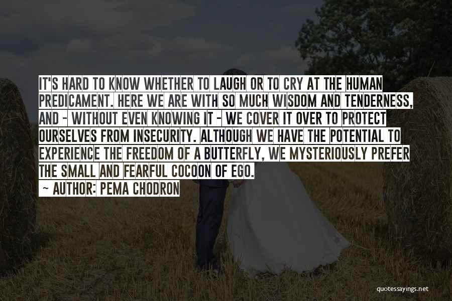 Far Cry Experience Quotes By Pema Chodron