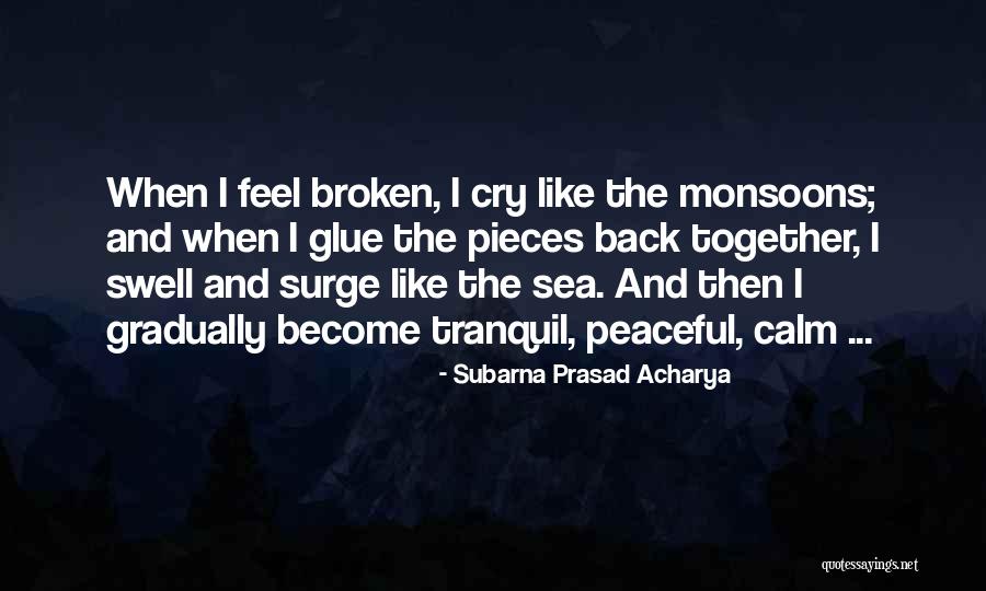 Far Cry Experience Quotes By Subarna Prasad Acharya