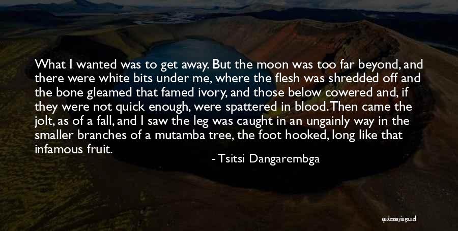 Far Far Away Land Quotes By Tsitsi Dangarembga