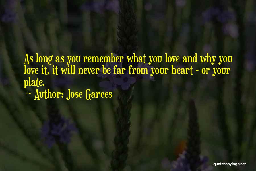 Far From Love Quotes By Jose Garces