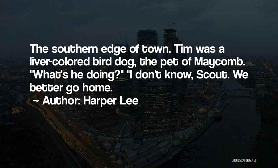Far From Your Liver Quotes By Harper Lee