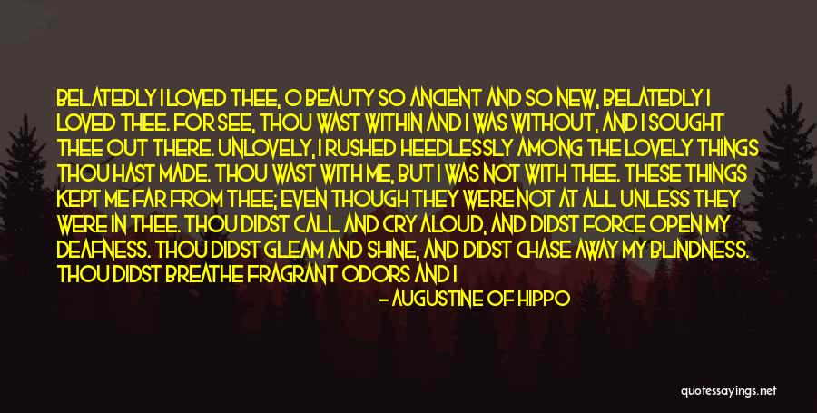 Far Out There Quotes By Augustine Of Hippo