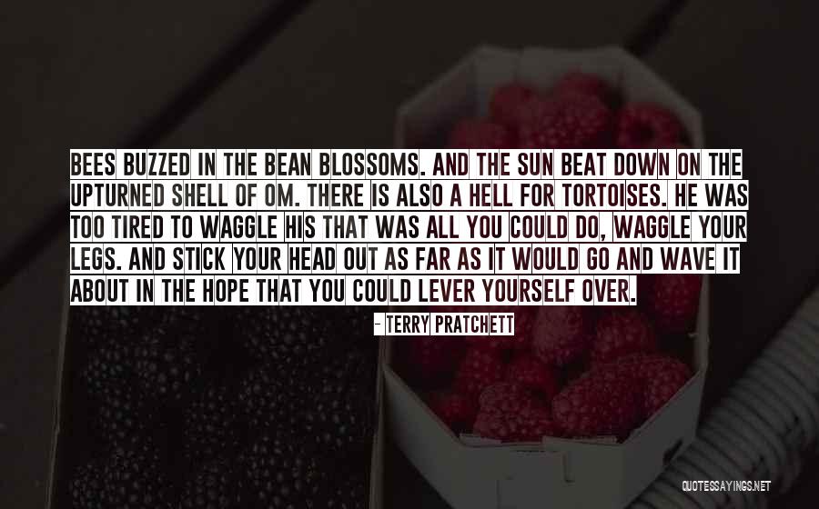 Far Out There Quotes By Terry Pratchett