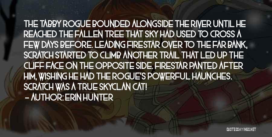 Far Side Quotes By Erin Hunter