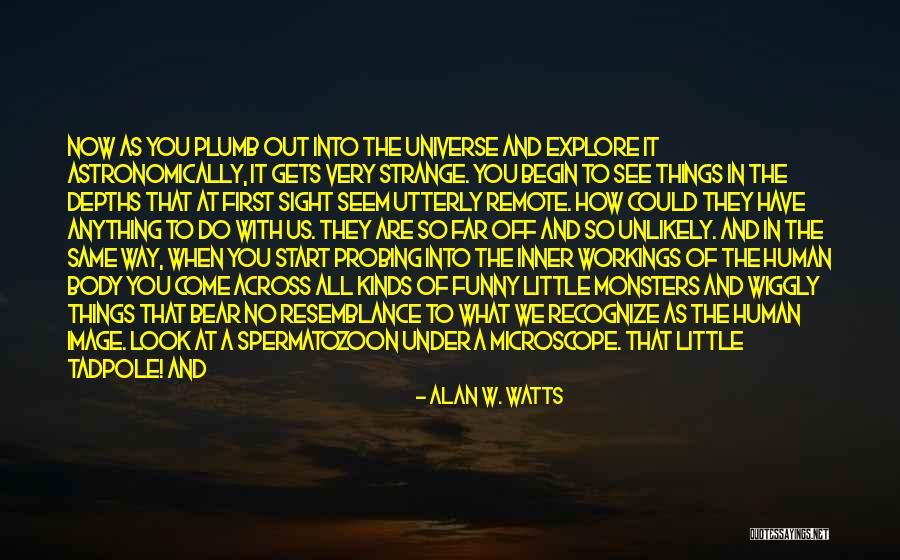 Far Sight Quotes By Alan W. Watts