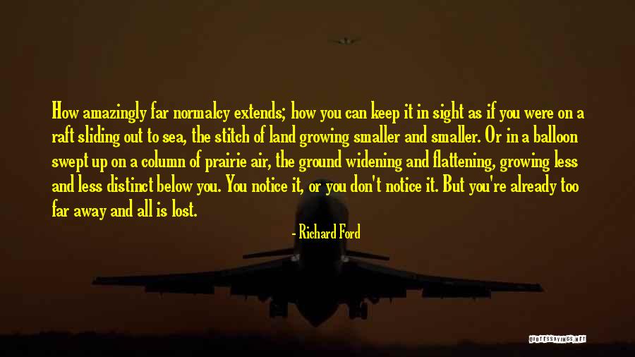 Far Sight Quotes By Richard Ford