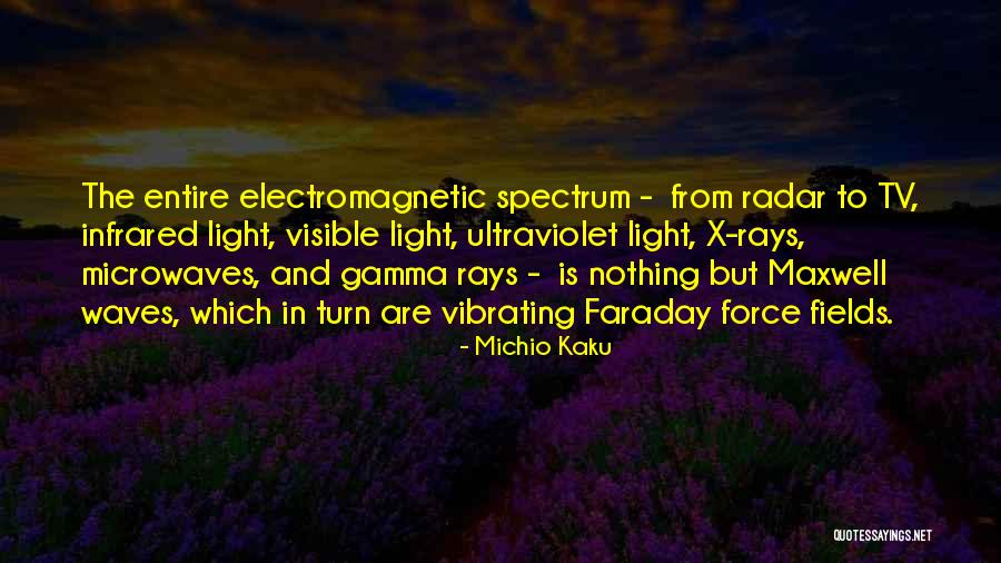 Faraday Quotes By Michio Kaku