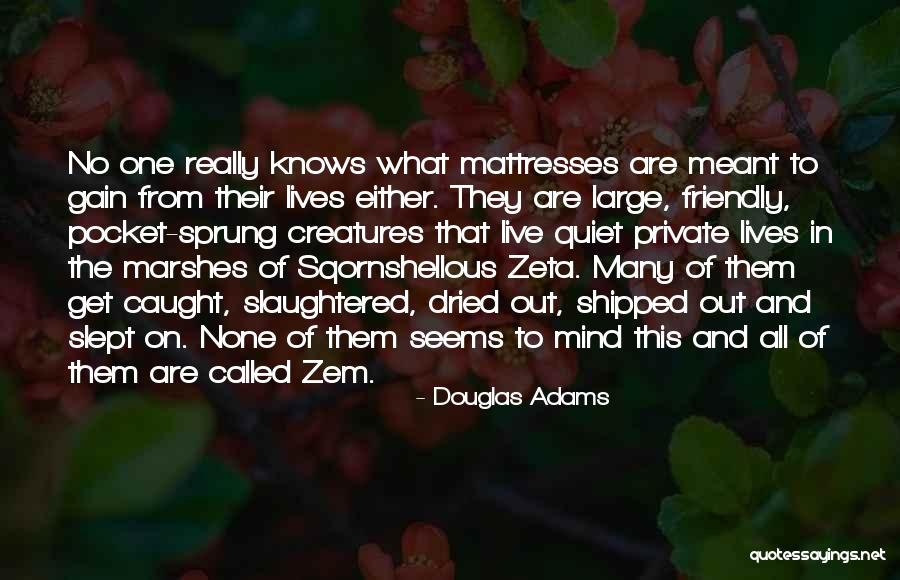 Faradays Electromagnetic Lab Quotes By Douglas Adams Faradays Electromagnetic Lab Quotes By Douglas Adams