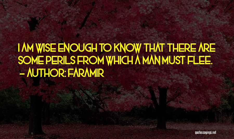 Faramir Quotes 1658312