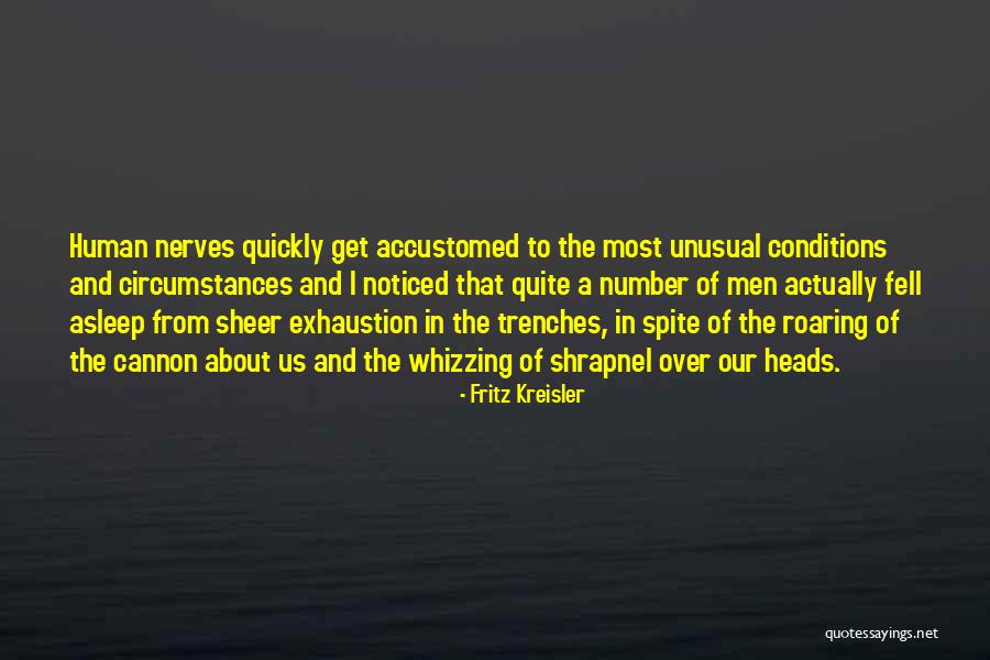 Faraso Samaneh Quotes By Fritz Kreisler Faraso Samaneh Quotes By Fritz Kreisler