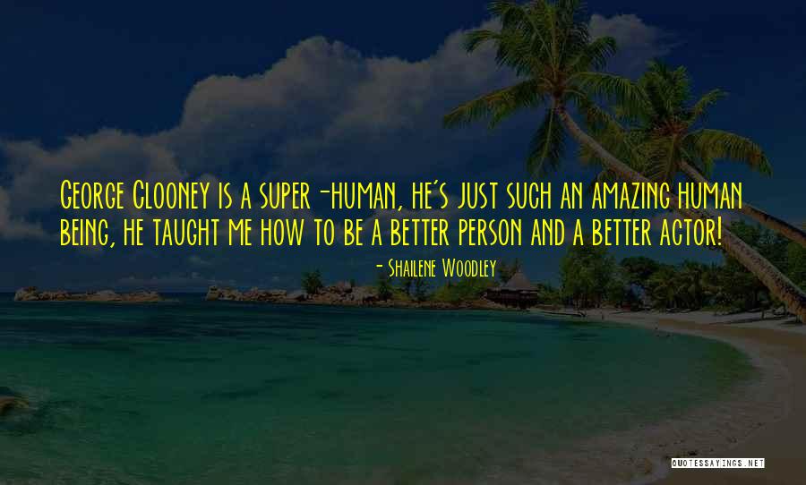 Faraz Inam Quotes By Shailene Woodley Faraz Inam Quotes By Shailene Woodley