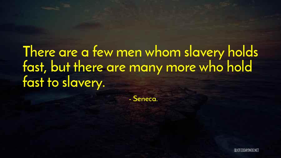Farcas Sniper Quotes By Seneca. Farcas Sniper Quotes By Seneca.