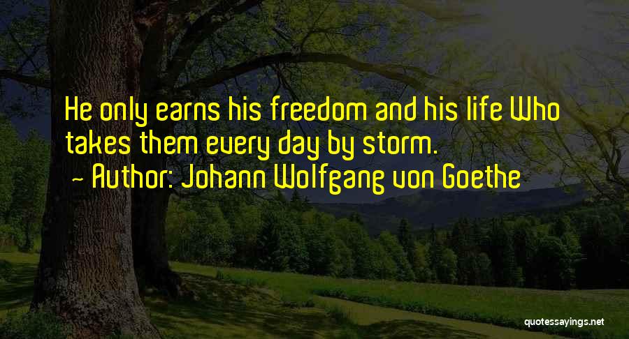 Fardin Mohammadi Quotes By Johann Wolfgang Von Goethe