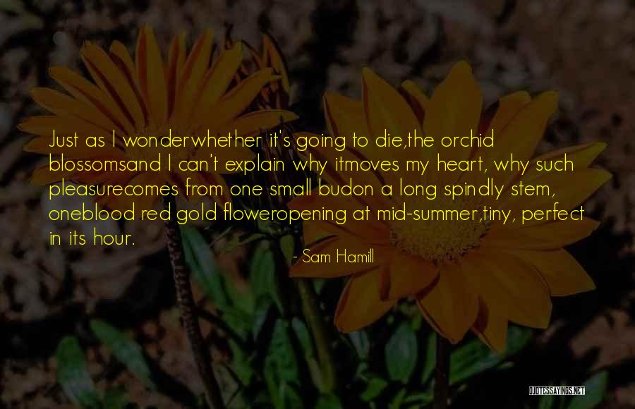 Fardoulis Quotes By Sam Hamill Fardoulis Quotes By Sam Hamill