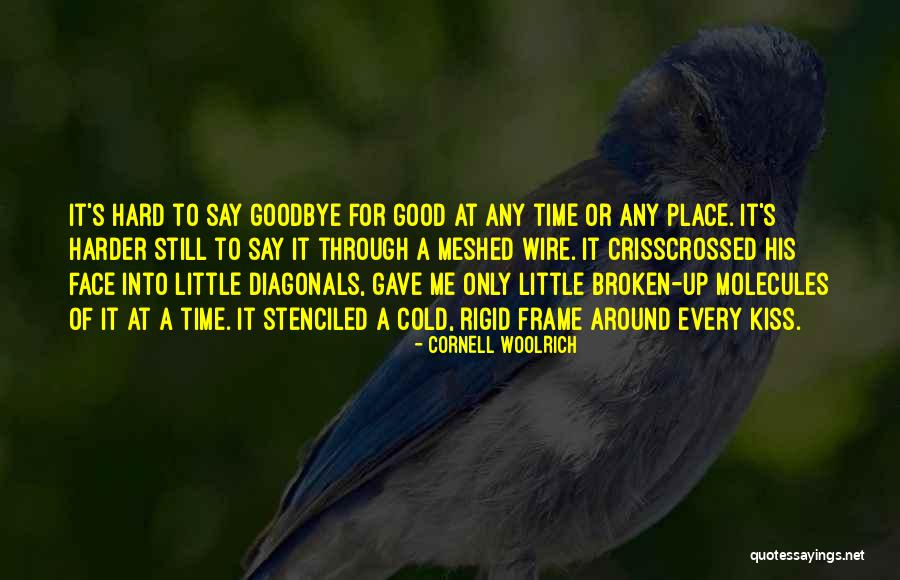 Farewell Quotes By Cornell Woolrich