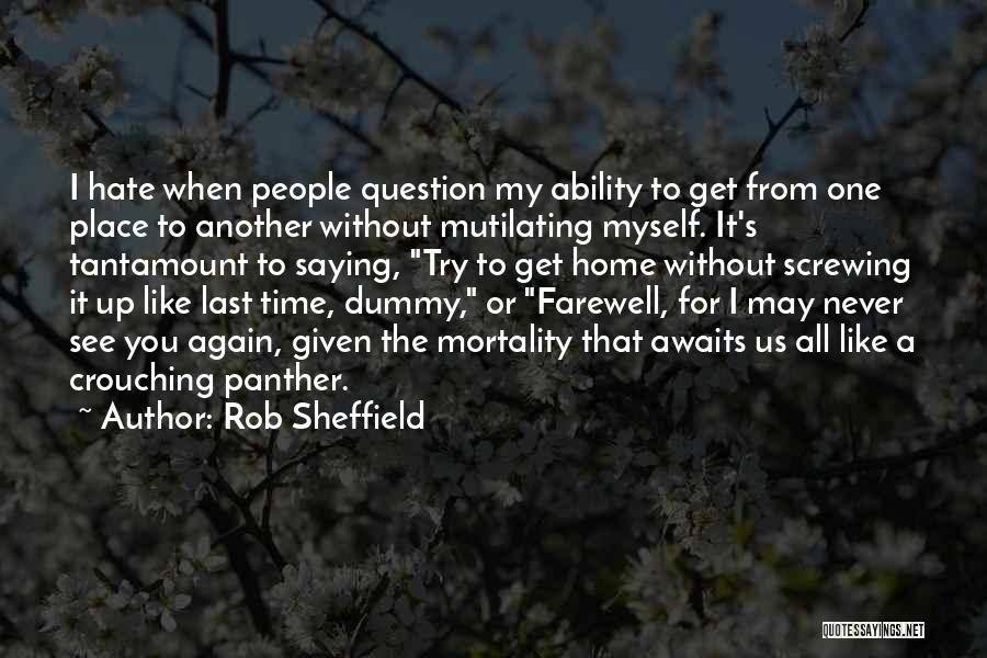 Farewell See You Again Quotes By Rob Sheffield