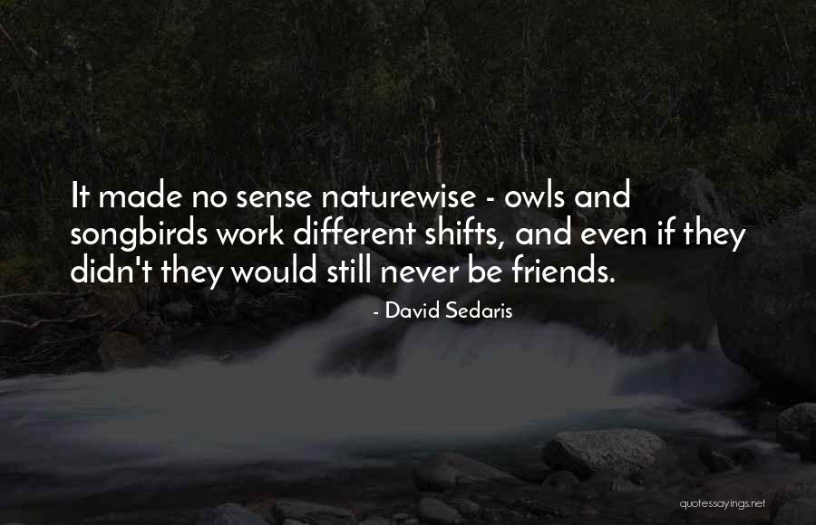 Farfalle Salad Quotes By David Sedaris Farfalle Salad Quotes By David Sedaris