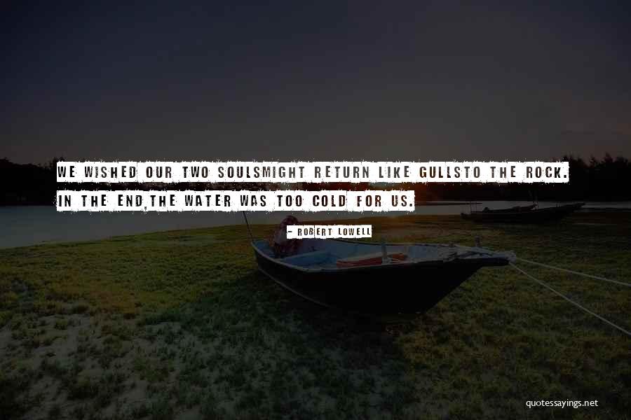 Fariba Quotes By Robert Lowell Fariba Quotes By Robert Lowell