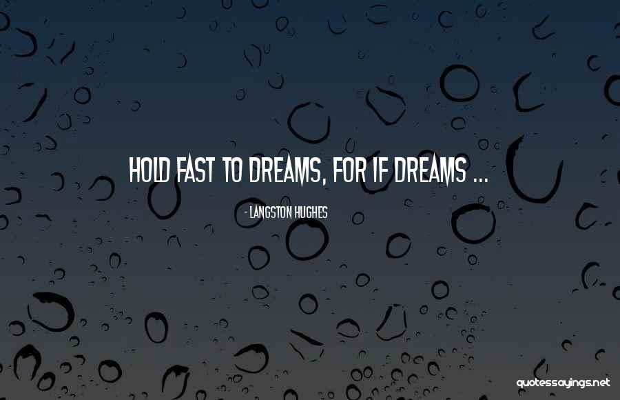 Farideh Lashai Quotes By Langston Hughes Farideh Lashai Quotes By Langston Hughes