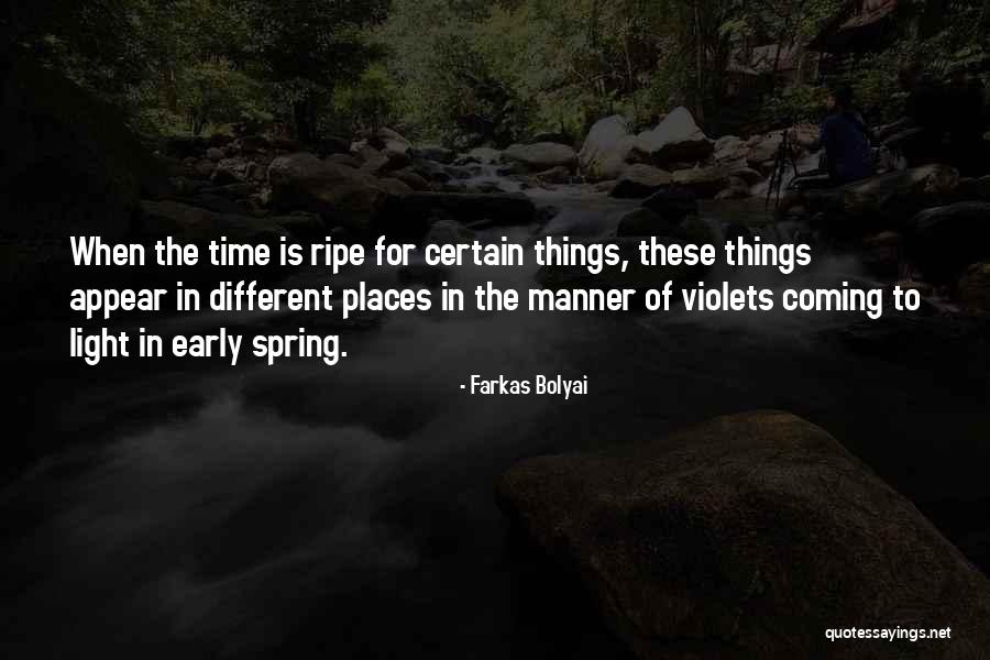 Farkas Bolyai Quotes 1970571 Farkas Bolyai Quotes 1970571