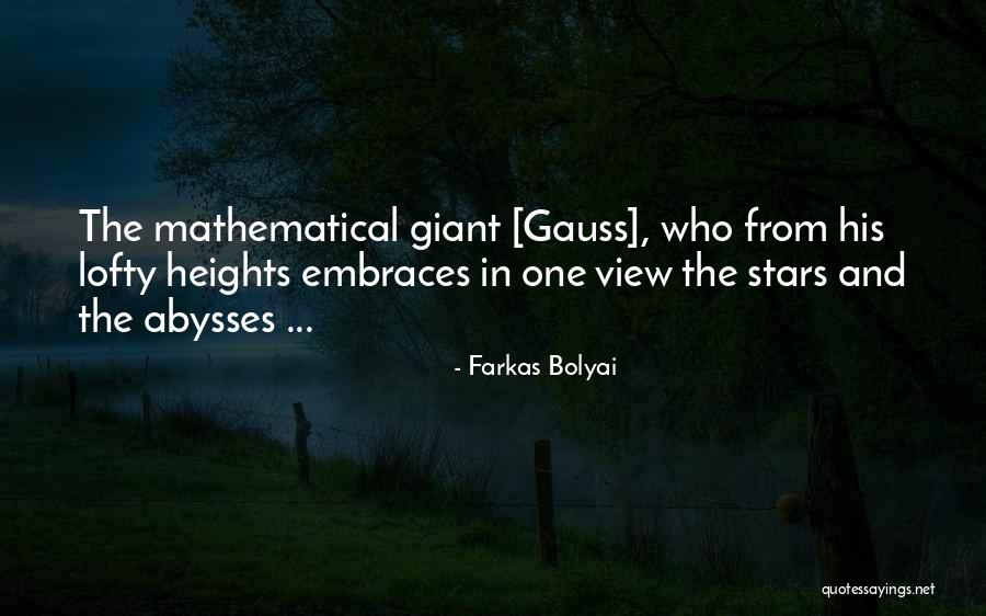 Farkas Bolyai Quotes 399413