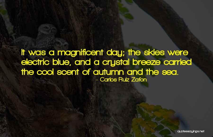 Farm And Fleet Quotes By Carlos Ruiz Zafon Farm And Fleet Quotes By Carlos Ruiz Zafon