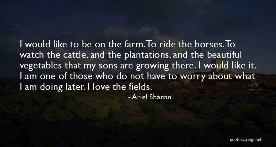 Farm Fields Quotes By Ariel Sharon