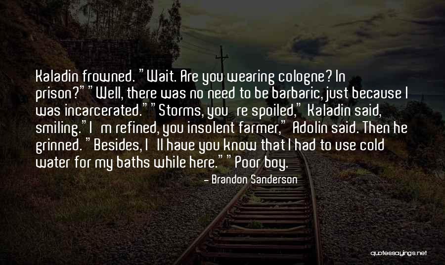 Farmer Boy Quotes By Brandon Sanderson Farmer Boy Quotes By Brandon Sanderson
