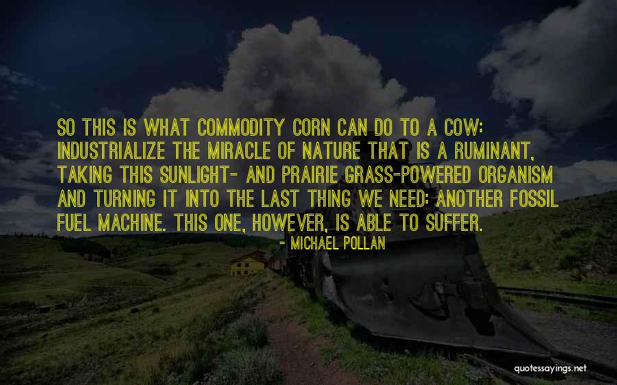 Farms Quotes By Michael Pollan