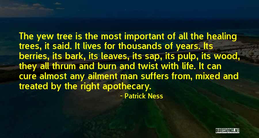 Farnaz Esnaashari Charmatz Quotes By Patrick Ness Farnaz Esnaashari Charmatz Quotes By Patrick Ness