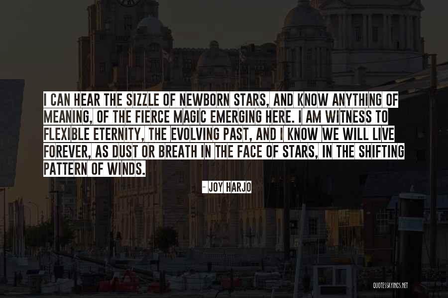 Farouz Snow Quotes By Joy Harjo Farouz Snow Quotes By Joy Harjo