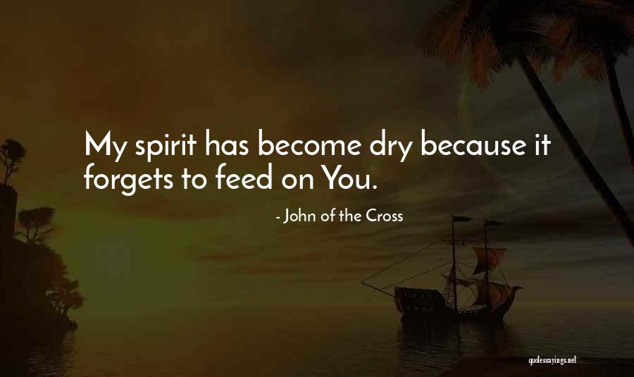 Farrens Properties Quotes By John Of The Cross Farrens Properties Quotes By John Of The Cross