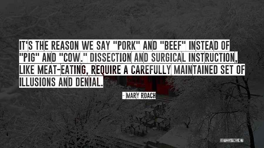 Farrugia Law Quotes By Mary Roach Farrugia Law Quotes By Mary Roach
