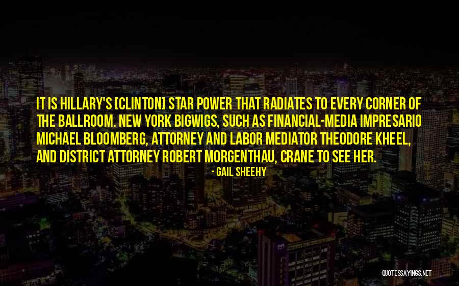 Farshid Rafahi Quotes By Gail Sheehy Farshid Rafahi Quotes By Gail Sheehy