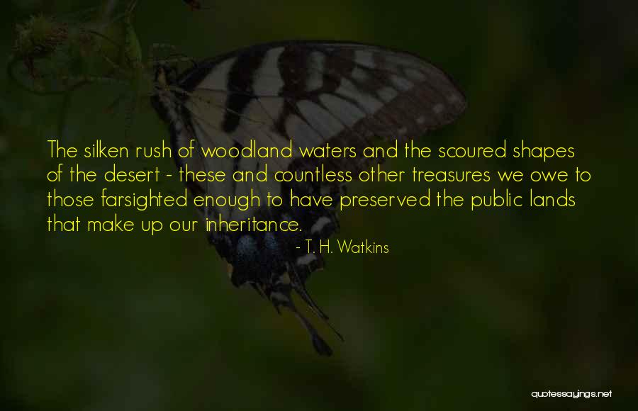 Farsighted Quotes By T. H. Watkins