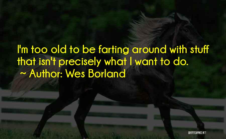 Farting Quotes By Wes Borland