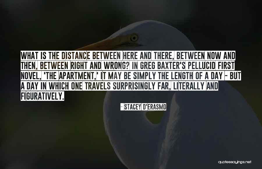 Farty Marty Quotes By Stacey D'Erasmo Farty Marty Quotes By Stacey D'Erasmo
