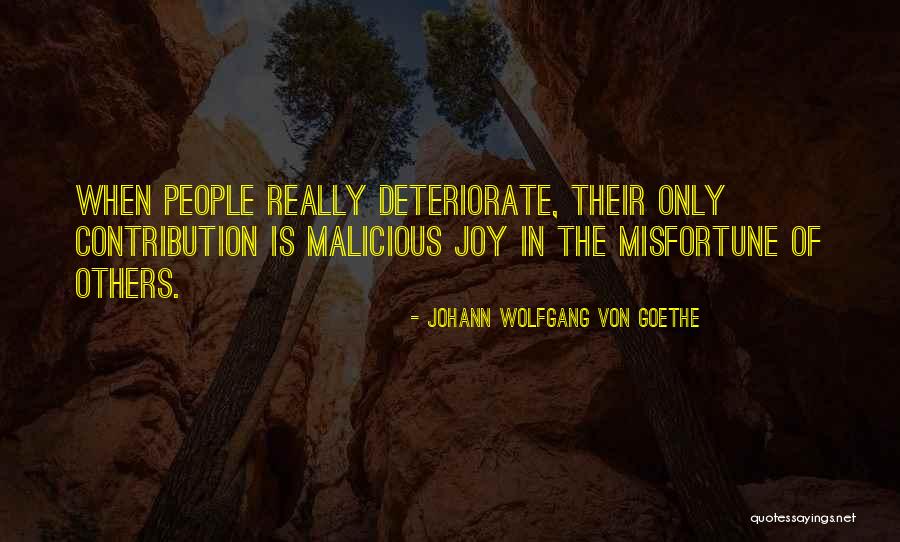Farwah Entezari Quotes By Johann Wolfgang Von Goethe
