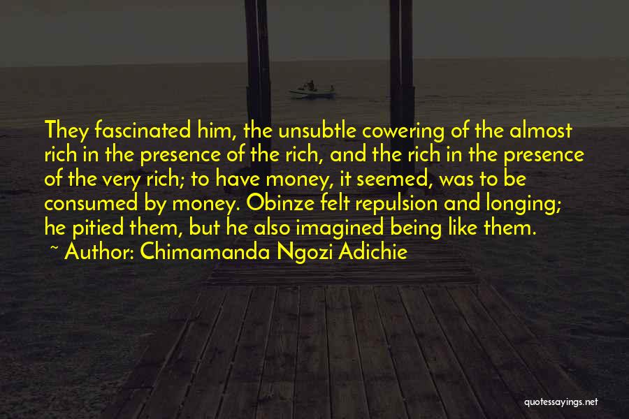 Fascinated Quotes By Chimamanda Ngozi Adichie