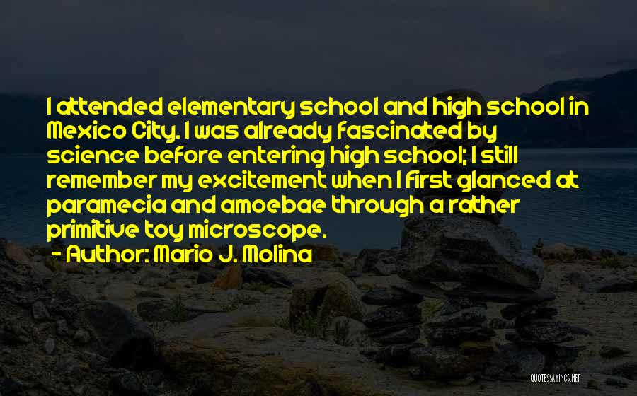 Fascinated Quotes By Mario J. Molina